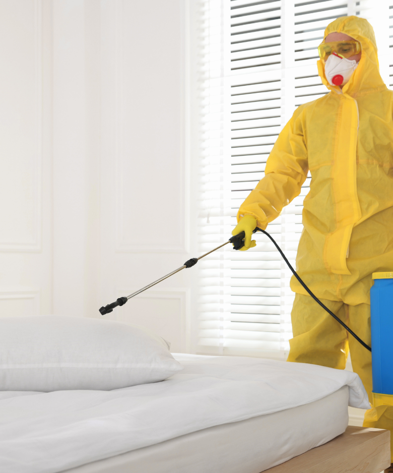 Professional Pest Control Team in Fairview Park